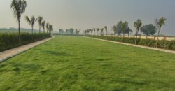 MDA Approved Plots in Gayatri Enclave