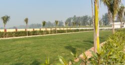 MDA Approved Plots in Gayatri Enclave