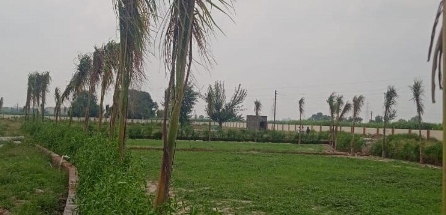 MDA Approved Plots in Gayatri Enclave