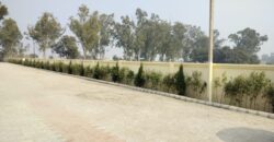 MDA Approved Plots in Gayatri Enclave